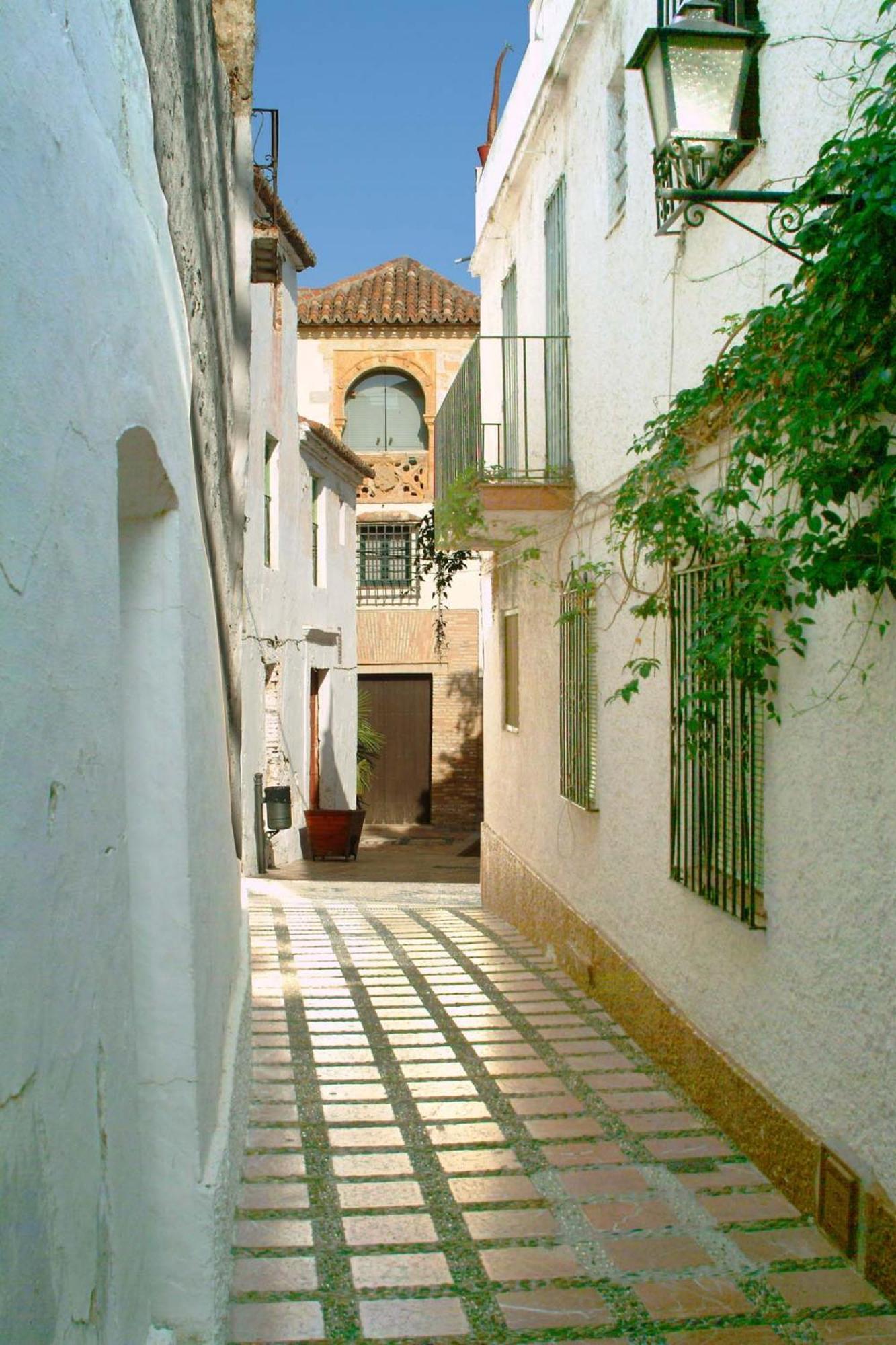 Apartment De Lujo En Centro Marbella
